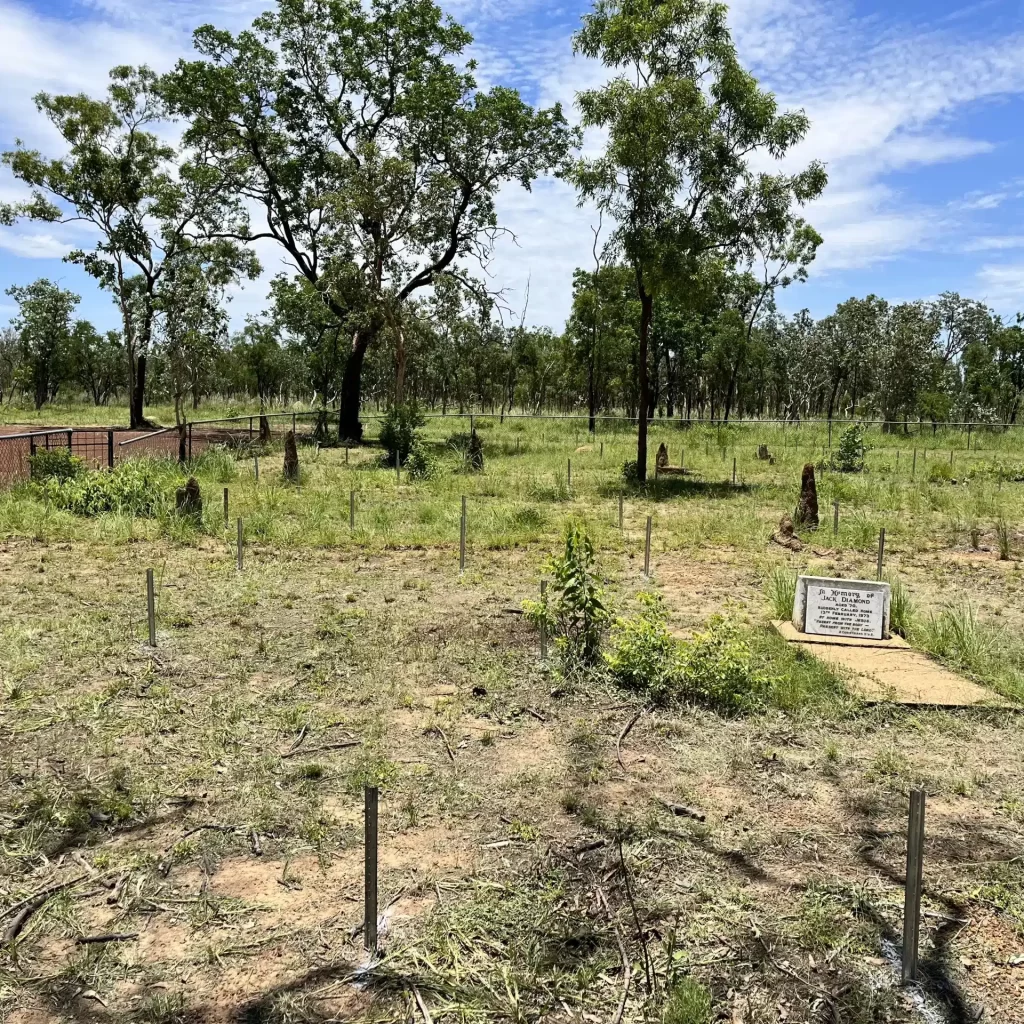 cairns-locating-specialists-gravesite-mapping-3